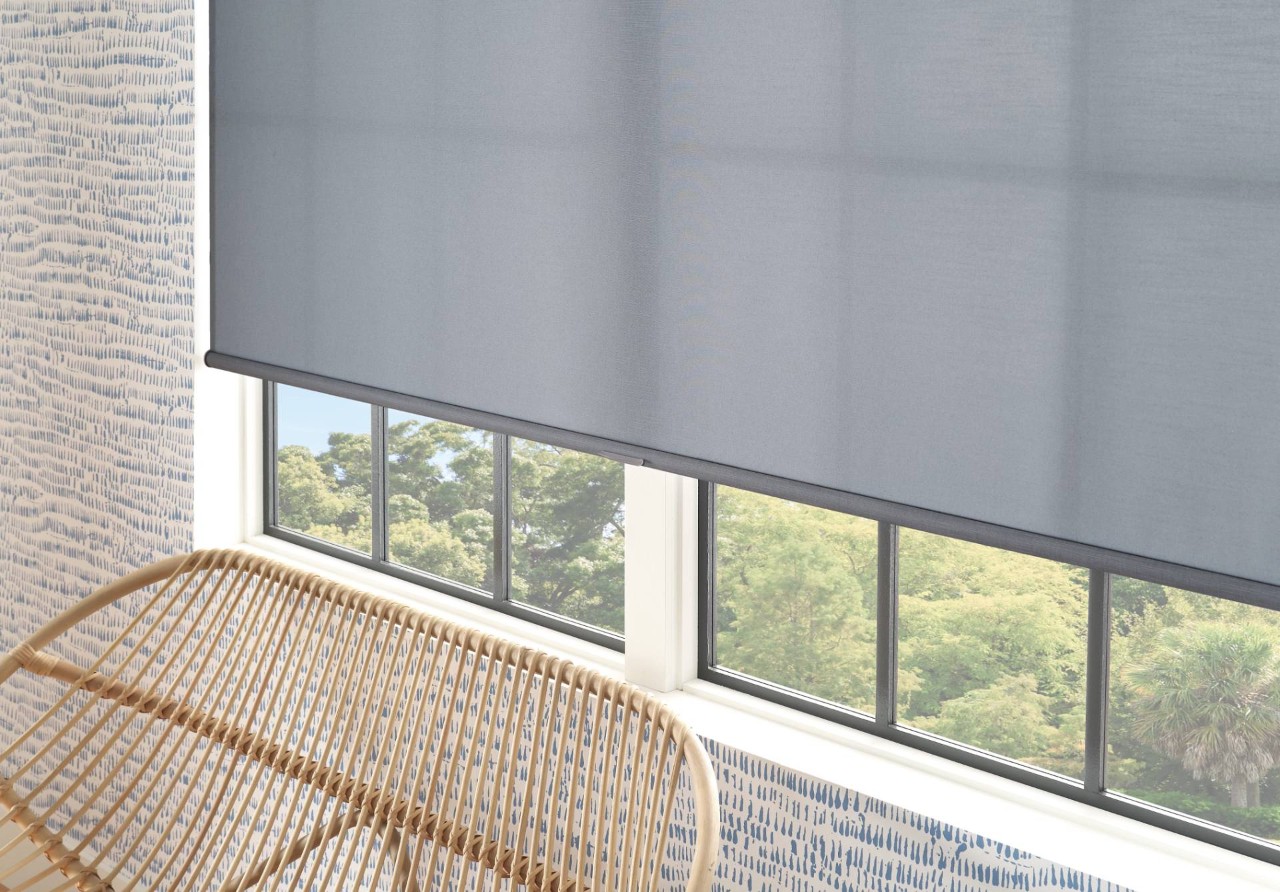 Hunter Douglas Designer Roller Shades near Saint Petersburg, Florida (FL)